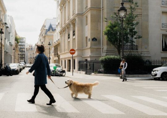 Responsabilité civile chien : est-elle obligatoire et que couvre-t-elle ?