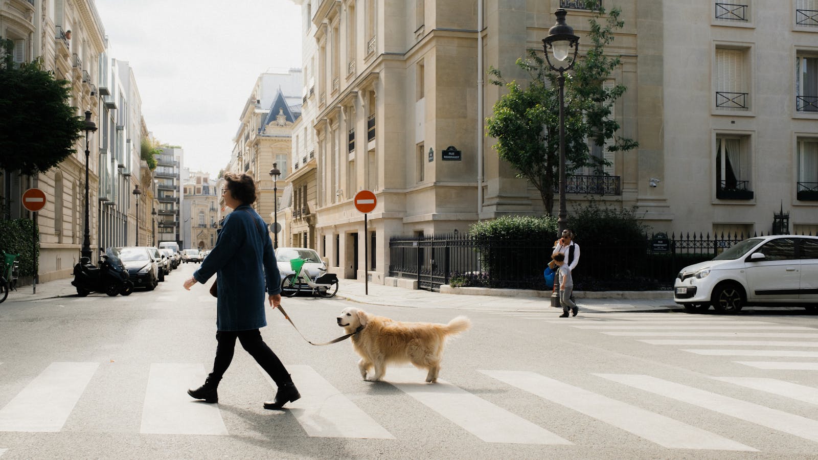 Responsabilité civile chien : est-elle obligatoire et que couvre-t-elle ?