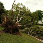 Sinistre tempête et assurance habitation : déclaration, couverture et indemnisation