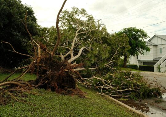 Sinistre tempête et assurance habitation : déclaration, couverture et indemnisation