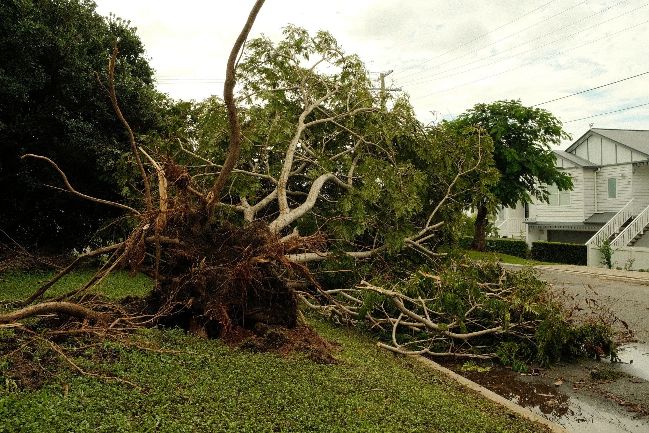 Sinistre tempête et assurance habitation : déclaration, couverture et indemnisation